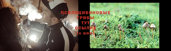 дживик Беломорск