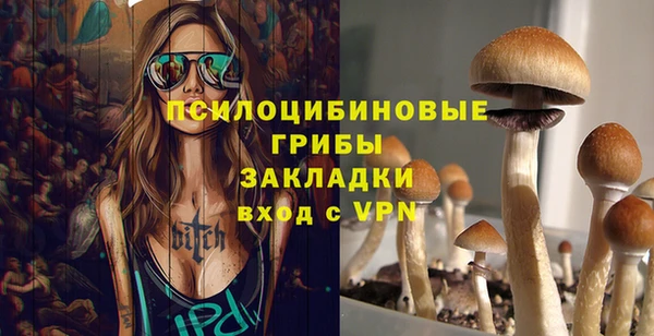 СК Белокуриха