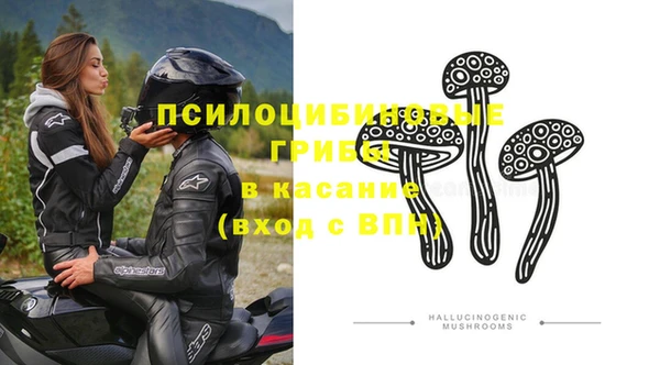 а пвп мука Богородск