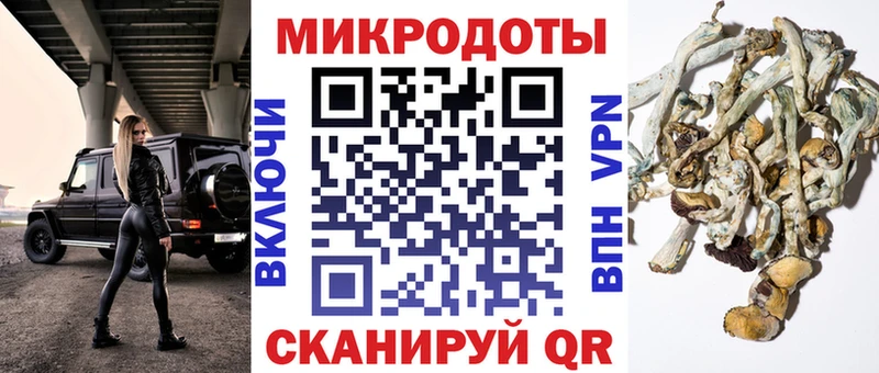 где найти наркотики  даркнет состав  Галлюциногенные грибы MAGIC MUSHROOMS  Сурск 